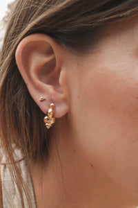 EARRINGS "CAURI" GOLD