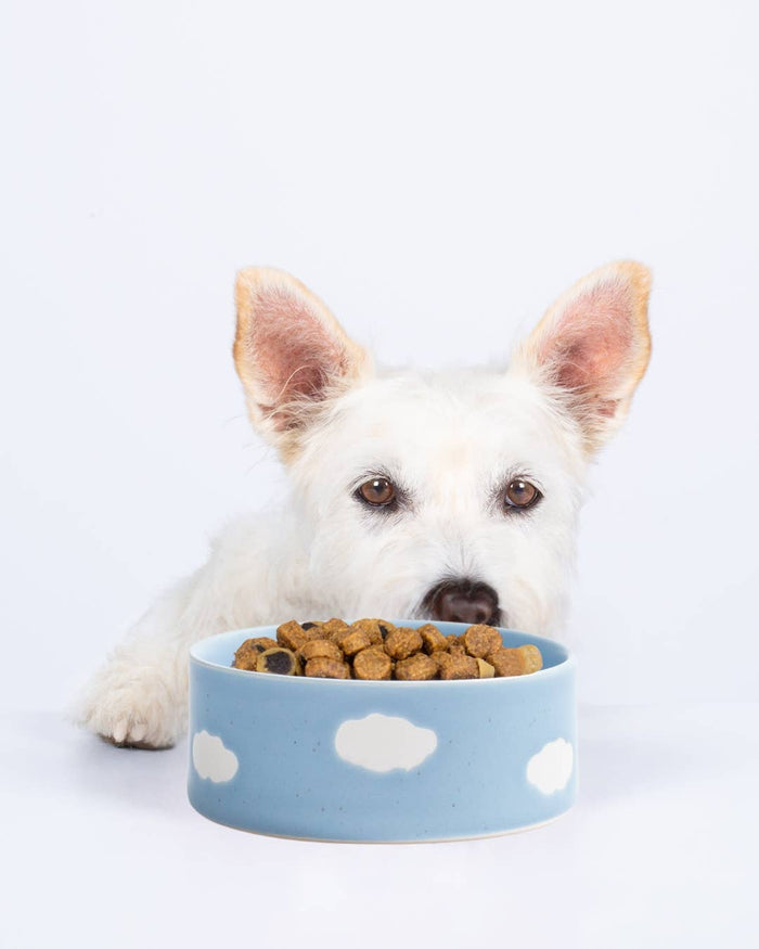 FEEDING BOWL SET OF 2 BLUE CLOUD