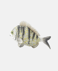 PAPER MODEL "FISH OF THE MEDITERRANEAN”