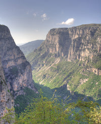 ORGANIC WILD MOUNTAIN TEA