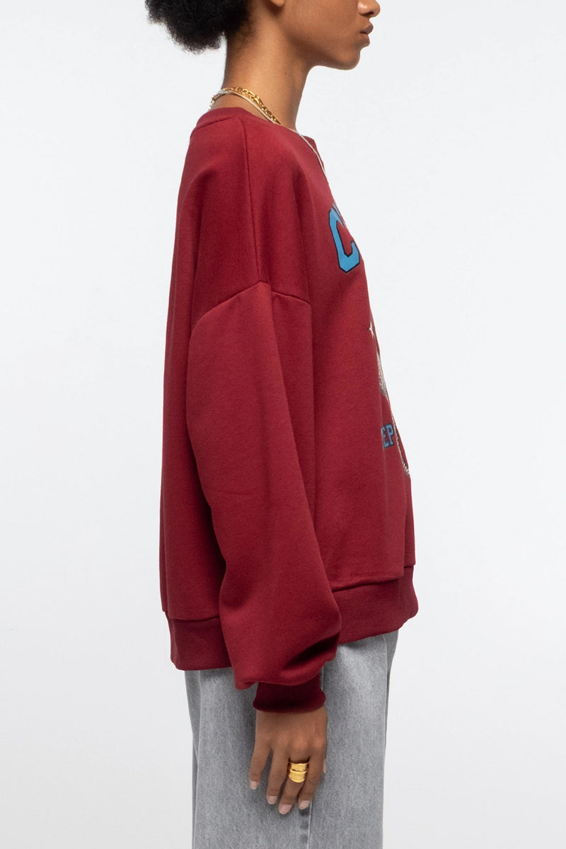 COTTON SWEATER WITH TIGER PRINT BORDEAUX