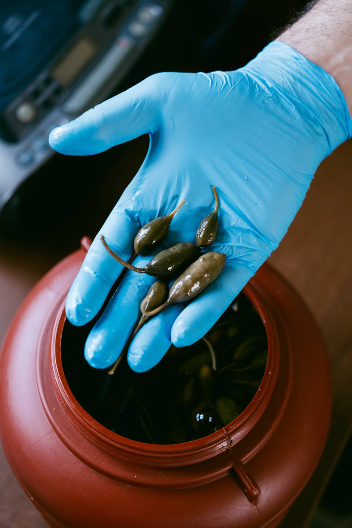 ORGANIC CAPER BERRIES FROM SYROS