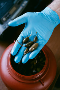 ORGANIC CAPER BERRIES FROM SYROS