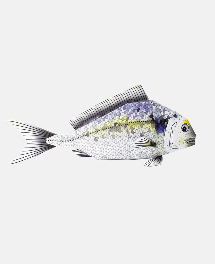 PAPER MODEL "FISH OF THE MEDITERRANEAN”