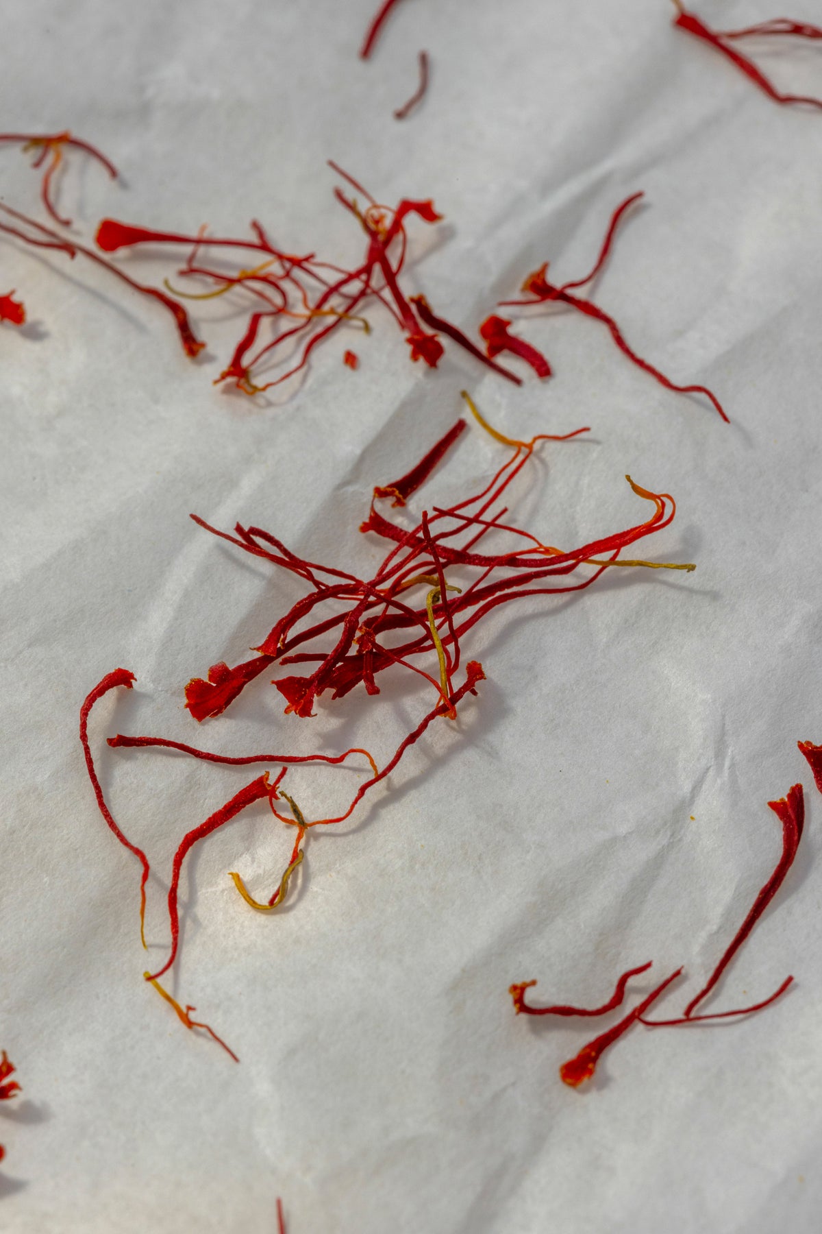 SAFFRON FROM KOZANI