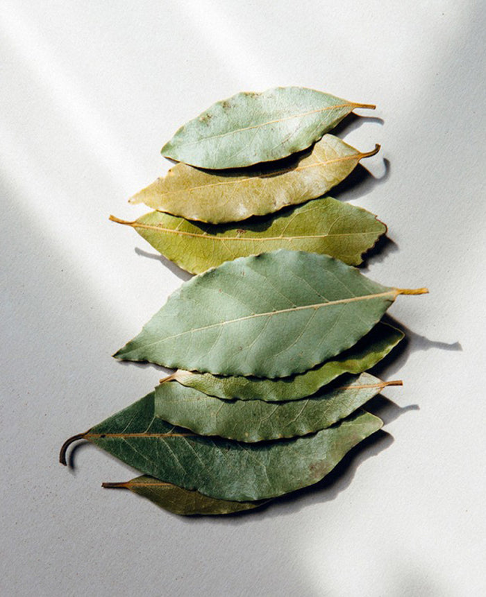 SELECTED BAY LEAVES