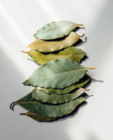 SELECTED BAY LEAVES REFILL