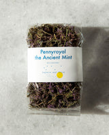 PENNYROYAL THE ANCIENT MINT